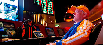 Casino VOLNA
